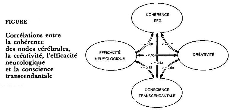 cohérence EEG et efficacité